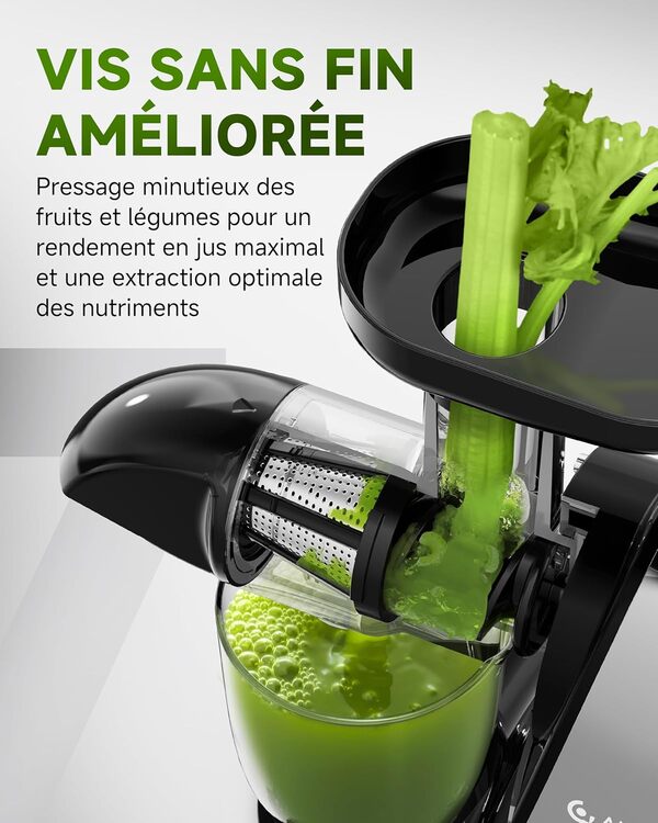 AMZCHEF Extracteur Jus - Extracteur de Jus de Fruits et Légumes - Presses-agrumes à Froid sans BPA avec 2 Tasses et Brosse - Fonction de Mastication Inversée pour Éviter les Blocages - Argent [Classe énergétique A+++]
