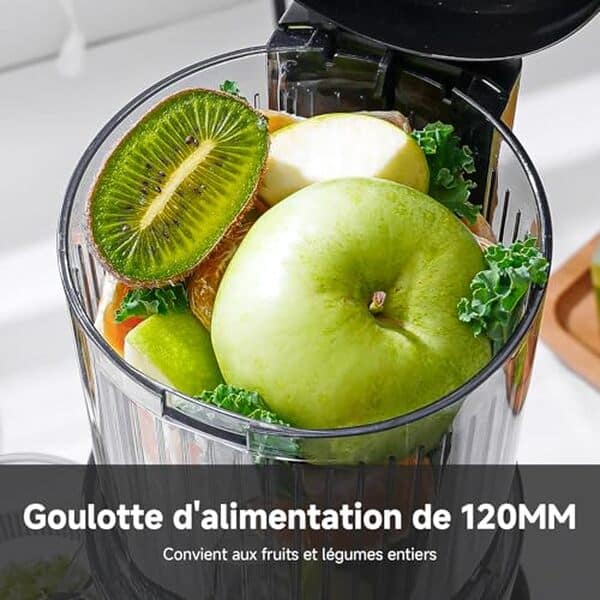 Découvrez l'efficacité exceptionnelle de l'extracteur de jus vertical AMZCHEF 120MM : une mastication lente pour des jus savoureux et sains à chaque utilisation